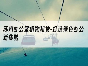 苏州办公室植物租赁-打造绿色办公新体验