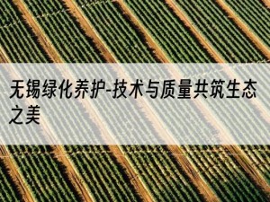无锡绿化养护-技术与质量共筑生态之美