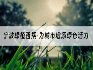 宁波绿植租摆-为城市增添绿色活力