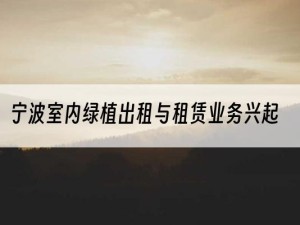 宁波室内绿植出租与租赁业务兴起