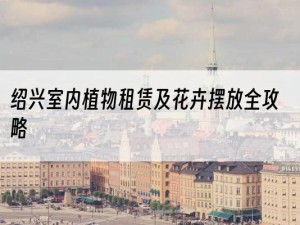绍兴室内植物租赁及花卉摆放全攻略