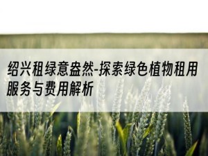 绍兴租绿意盎然-探索绿色植物租用服务与费用解析