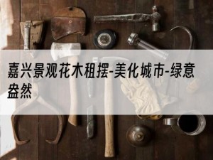 嘉兴景观花木租摆-美化城市-绿意盎然