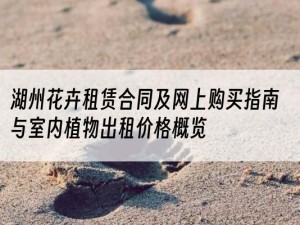 湖州花卉租赁合同及网上购买指南与室内植物出租价格概览