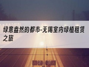 绿意盎然的都市-无锡室内绿植租赁之旅