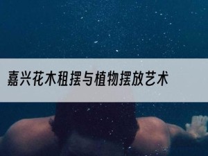 嘉兴花木租摆与植物摆放艺术