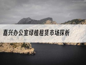 嘉兴办公室绿植租赁市场探析