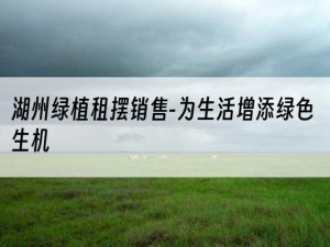 湖州绿植租摆销售-为生活增添绿色生机