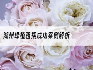 湖州绿植租摆成功案例解析
