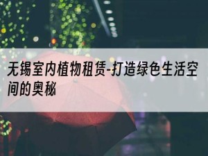 无锡室内植物租赁-打造绿色生活空间的奥秘