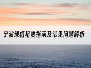 宁波绿植租赁指南及常见问题解析