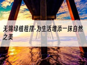 无锡绿植租摆-为生活增添一抹自然之美