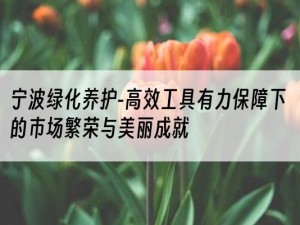 宁波绿化养护-高效工具有力保障下的市场繁荣与美丽成就