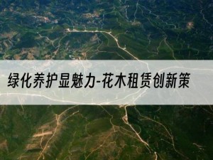 绿化养护显魅力-花木租赁创新策