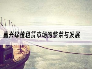 嘉兴绿植租赁市场的繁荣与发展