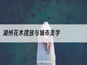 湖州花木摆放与城市美学