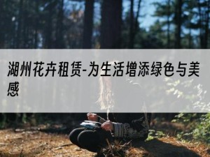 湖州花卉租赁-为生活增添绿色与美感