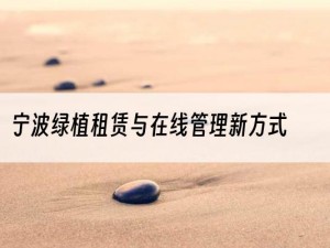 宁波绿植租赁与在线管理新方式