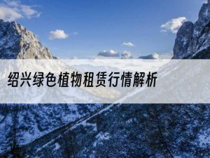 绍兴绿色植物租赁行情解析