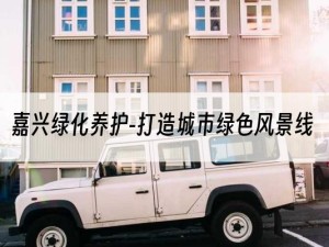 嘉兴绿化养护-打造城市绿色风景线