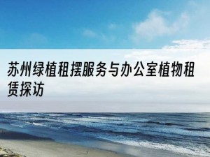 苏州绿植租摆服务与办公室植物租赁探访