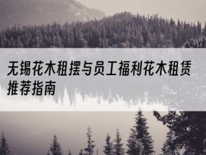 无锡花木租摆与员工福利花木租赁推荐指南