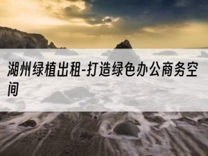 湖州绿植出租-打造绿色办公商务空间