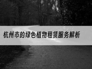 杭州市的绿色植物租赁服务解析