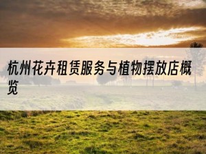 杭州花卉租赁服务与植物摆放店概览
