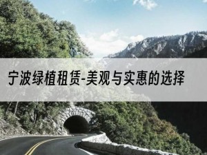 宁波绿植租赁-美观与实惠的选择