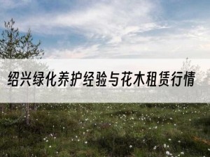 绍兴绿化养护经验与花木租赁行情