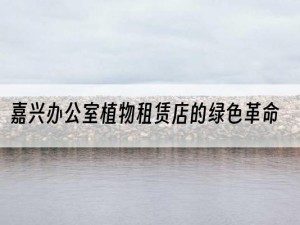 嘉兴办公室植物租赁店的绿色革命