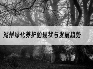 湖州绿化养护的现状与发展趋势