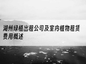 湖州绿植出租公司及室内植物租赁费用概述