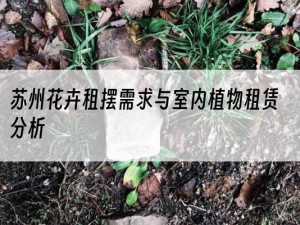 苏州花卉租摆需求与室内植物租赁分析