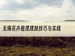 无锡花卉租摆摆放技巧与实践