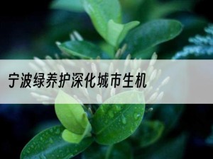 宁波绿养护深化城市生机
