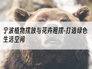 宁波植物摆放与花卉租摆-打造绿色生活空间