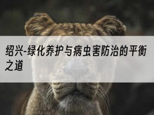 绍兴-绿化养护与病虫害防治的平衡之道