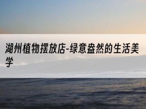 湖州植物摆放店-绿意盎然的生活美学