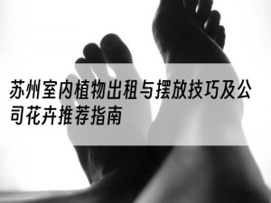 苏州室内植物出租与摆放技巧及公司花卉推荐指南