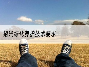 绍兴绿化养护技术要求