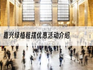 嘉兴绿植租摆优惠活动介绍