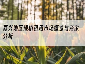 嘉兴地区绿植租用市场概览与商家分析