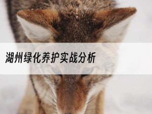 湖州绿化养护实战分析