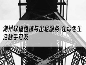 湖州绿植租摆与出租服务-让绿色生活触手可及