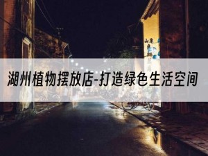 湖州植物摆放店-打造绿色生活空间