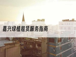 嘉兴绿植租赁服务指南