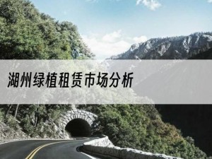湖州绿植租赁市场分析