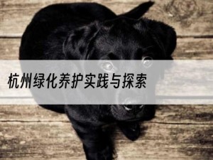 杭州绿化养护实践与探索